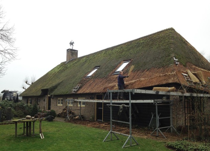 verdrijven rieten dak