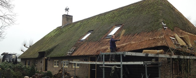 verdrijven rieten dak