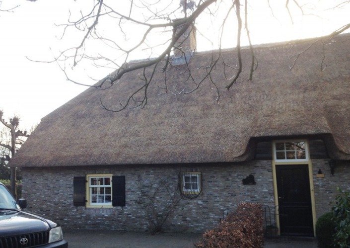 resultaat van opstoppen/verdrijven rieten dak