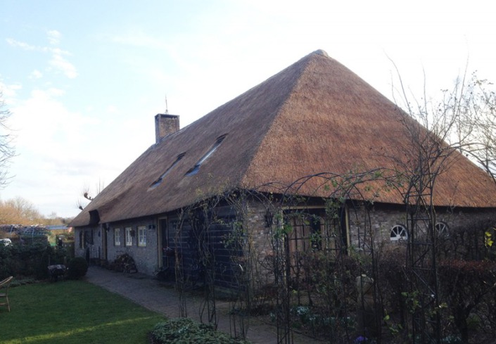 als nieuw opstoppen /verdrijven rieten dak