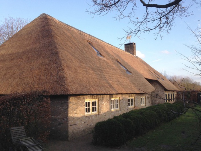 mooi resultaat opstoppen/verdrijven rieten dak