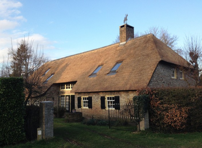 resultaat verdrijven/ opstoppen rieten dak