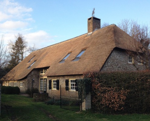 resultaat opstoppen / verdrijven rieten dak