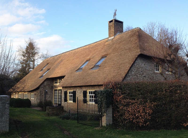 resultaat opstoppen / verdrijven rieten dak