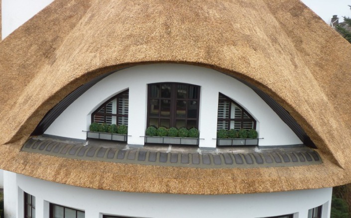 vernieuwen rieten dak