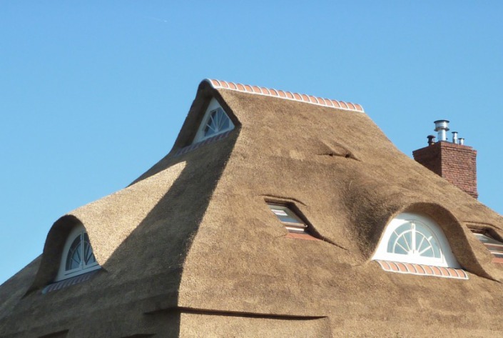 dak ramen in rieten dak