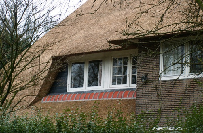 renoveren rieten dak