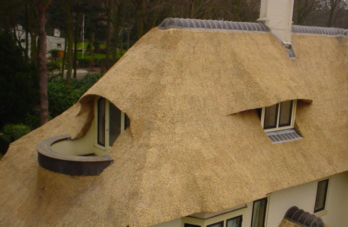 nieuw rieten dak