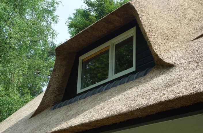 dakkapel rieten dak
