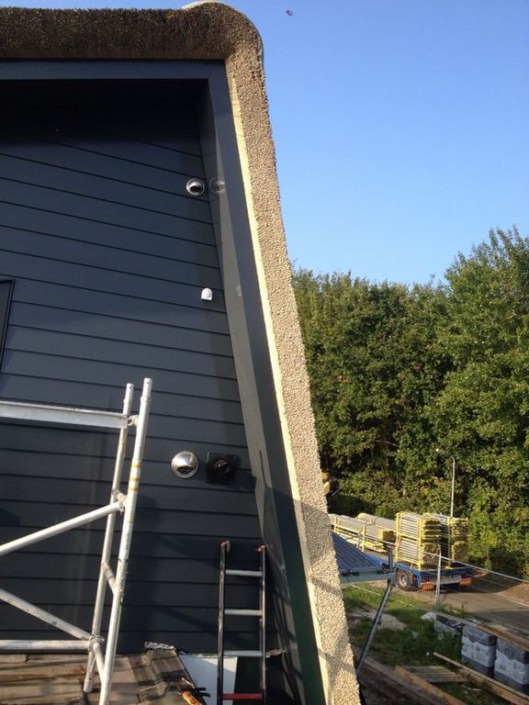 moderne woning kunstrieten dak