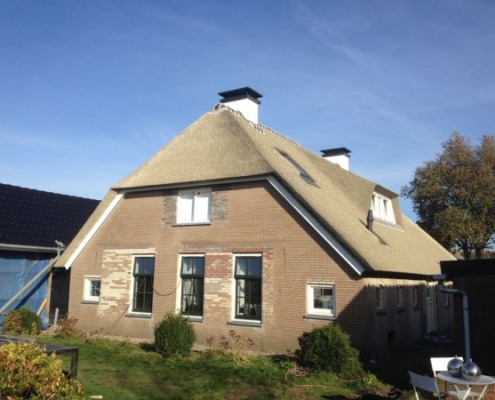 kunstrieten dak boerderij stijl