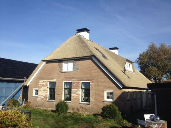 kunstrieten dak boerderij stijl