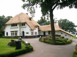 vernieuwd rieten dak op villa