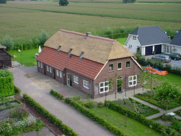 details velux ramen in riet verwerkt