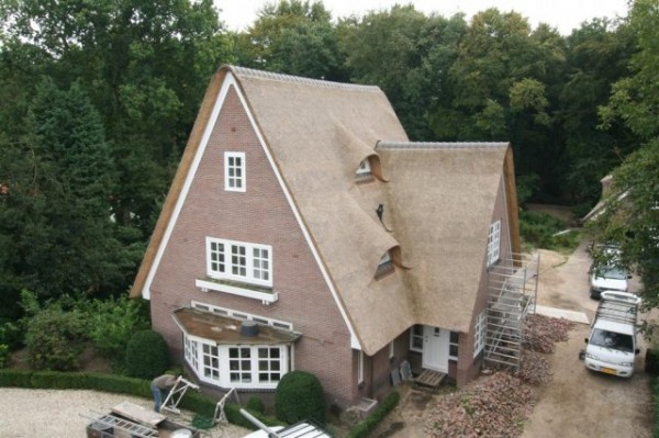 vernieuwen rieten dak