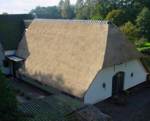 vervangen rieten dak