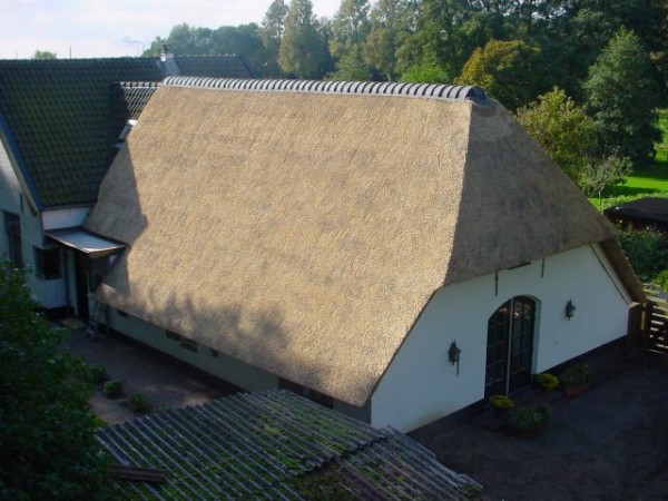 vervangen rieten dak