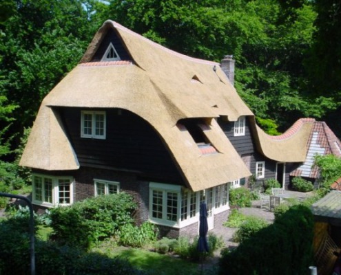 vernieuwen rieten dak