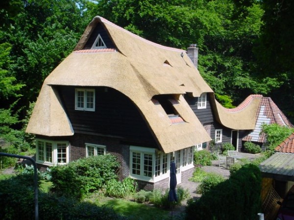 vernieuwen rieten dak