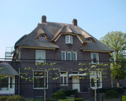 kantoor villa nieuw riet gedekt