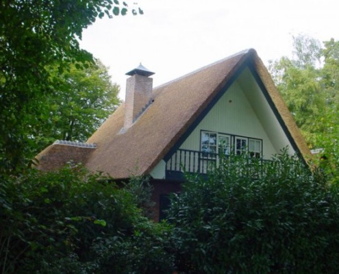 vernieuwd rieten dak Twello