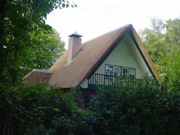 vernieuwd rieten dak Twello