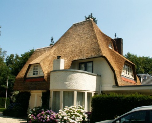 verdrijven rieten dak