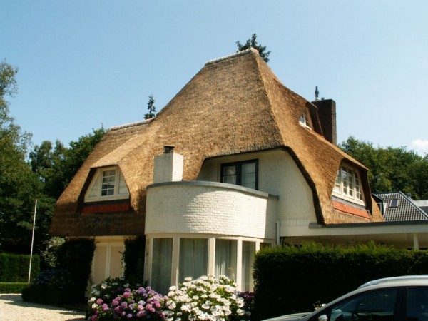 verdrijven rieten dak