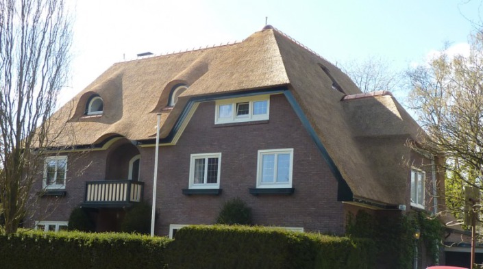 van pannen naar rieten dak