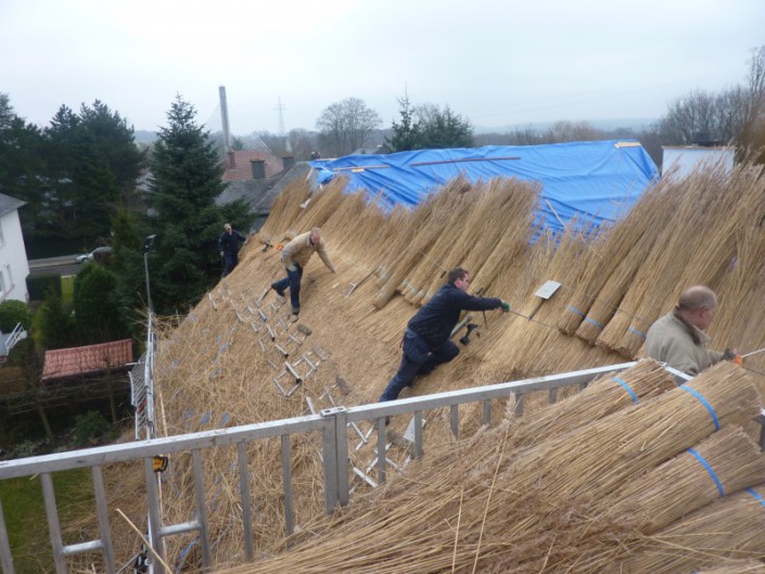 werkzaamheden rieten dak bedekken