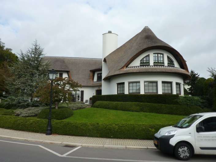 vervangen rieten dak op villa in luxemburg