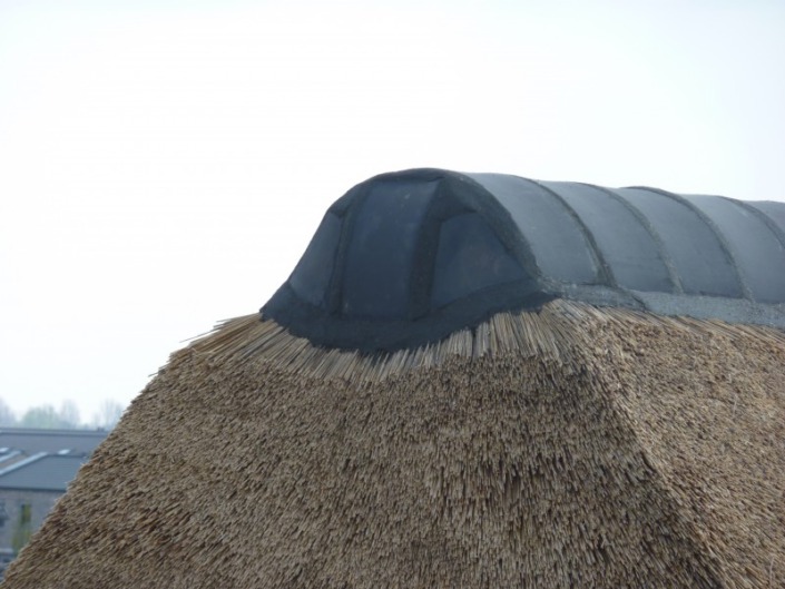 blauwe nok vorst met platte voeg