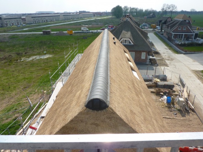 blauwe nokvorst rieten dak