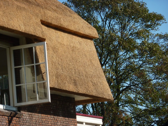 detail rieten dak