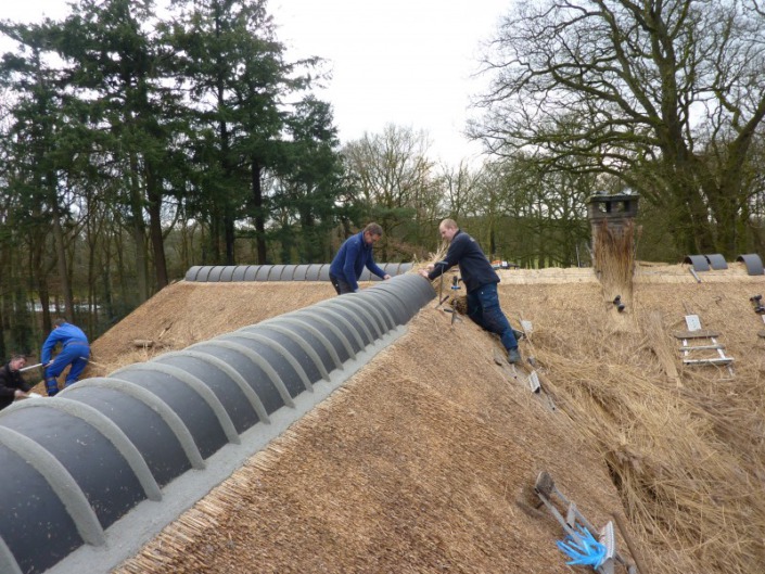 blauwe nokvorsten rieten dak