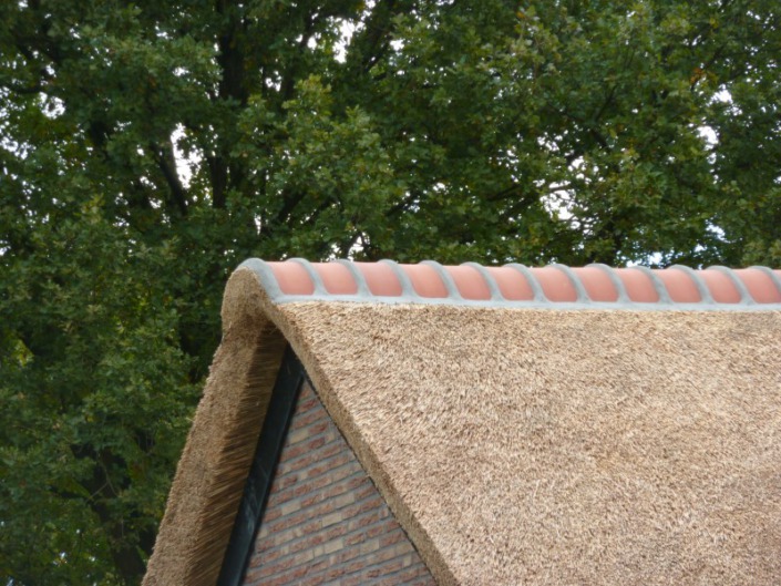 rode nok vorsten rieten dak