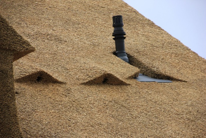 ontluchtingen rietendak