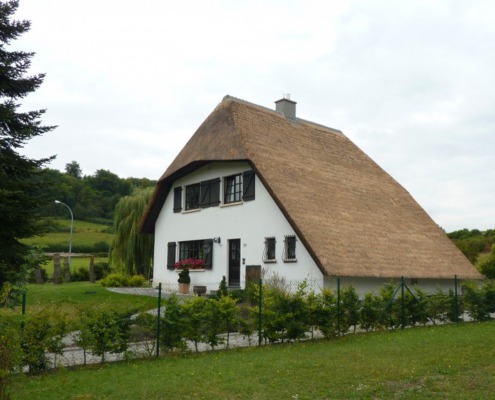 verdrijven rietendak