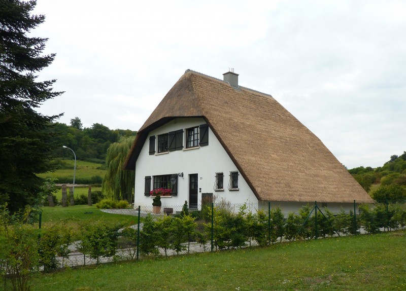 verdrijven rietendak