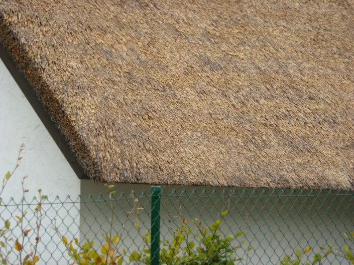 dak renovatie ziet er weer als nieuw rieten dak uit