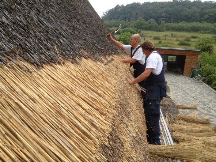 renovatie / opkloppen/verdrijven rieten dak