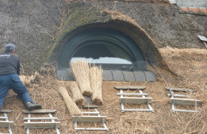 rieten dak renovatie