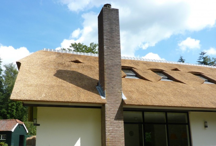 velux dakramen in rieten dak