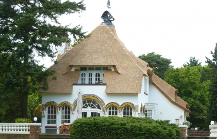 vernieuwen rieten dak met bliksem afleiders