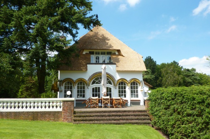 vernieuwen rieten dak