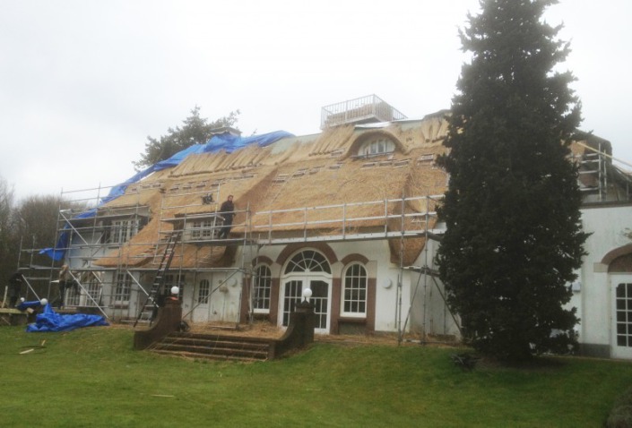 vernieuwen rieten dak in wassenaar