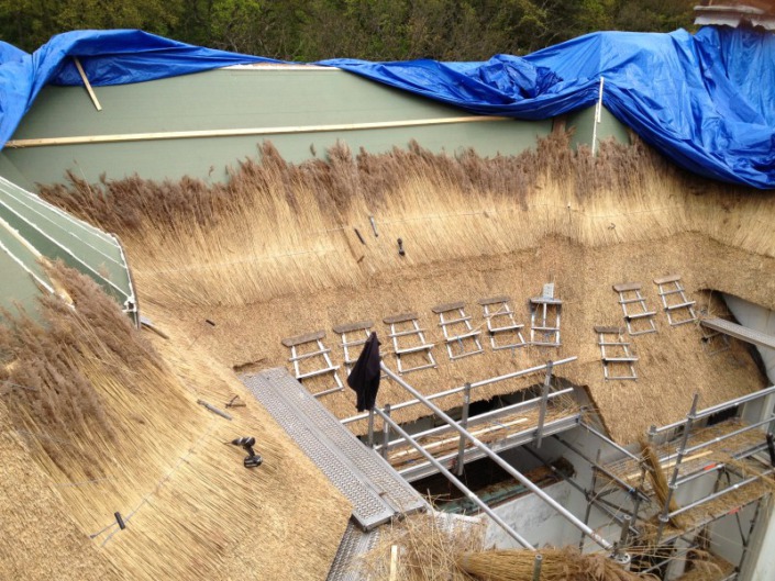 vernieuwen rietendak , schroefdak