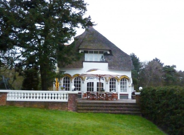 foto voor werkzaamheden rieten dak