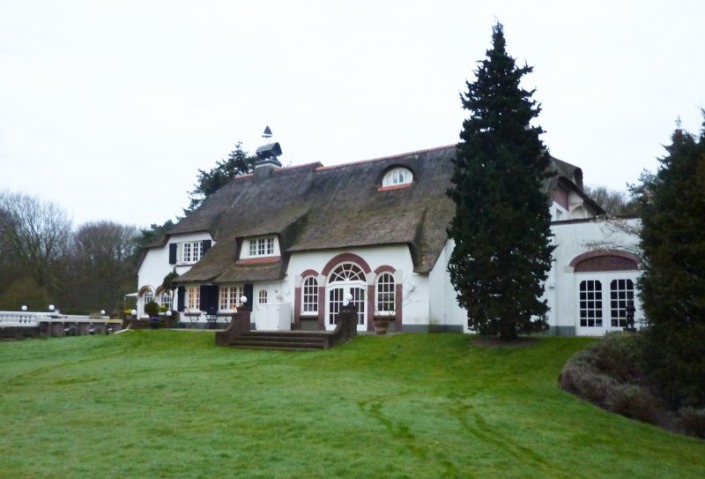 foto voor werkzaamheden vernieuwen rieten dak