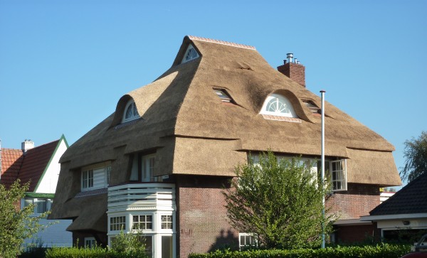vernieuwen rieten dak in Heemstede
